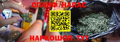 PSILOCYBIN Кинель