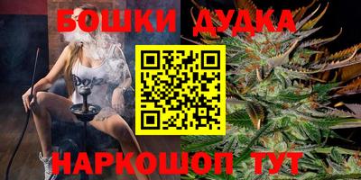 PSILOCYBIN Кинель