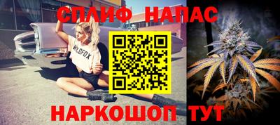эйфоретик Кингисепп