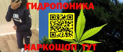 дмт Кимры