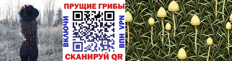 Галлюциногенные грибы прущие грибы МЕГА tor Уфа