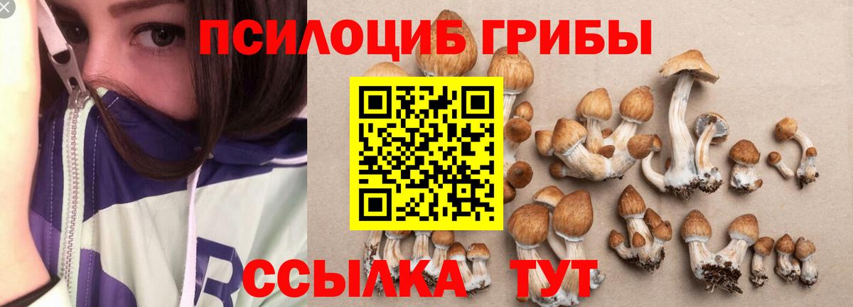 Псилоцибиновые грибы мицелий  Галлюциногенные грибы Magic Shrooms  Уфа 