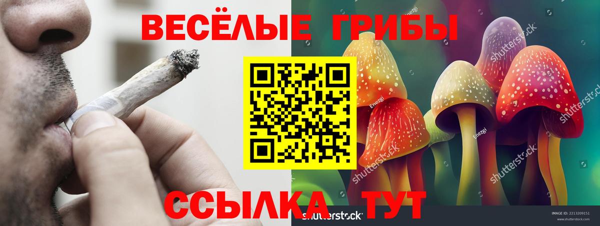 Псилоцибиновые грибы прущие грибы Уфа
